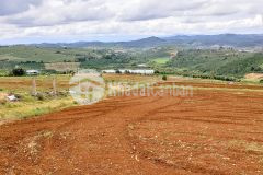 Cần tiền bán gấp 9.500m2 đất đỏ xã tà hine,lâm đồng chỉ 230 triệusào tl