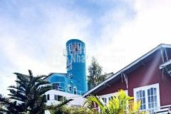 Giá bán gấp trong tháng homestay đỉnh đồi ngô quyền