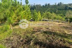 Bán đất dự án la nature bảo lộc lô mặt tiền, full thổ cư, giá tốt nhất khu vực