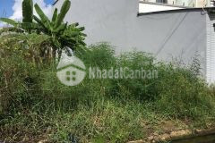 Bán gấp lô đất 12 x 25 ngay thpt rạch kiến gần thpt rạch kiến cần đước shr, 15trm2