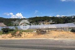 Bán đất xây biệt thự view thoáng đường trịnh hoài đức giá tốt