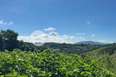 Đất nền nghỉ dưỡng gần đồi chè tâm châu bảo lộc giá tốt nhất khu vực chỉ 6 triệum²