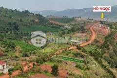 Đất nền đồi đẹp gần hòn đá bảo lâm, đón sóng cao tốc tân phú bảo lộc