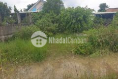 Bán đất full thổ mặt tiền nhựa hồ chí minh, xã an ninh đông dt 500m2 giá 2,95 tỷ