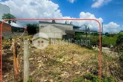 Bán đất diên an giá rẻ hẻm đường gò thập cách 2310 đúng 200m gần cầu ông bộ