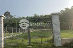 Kẹt ngân hàng 5ty bán nhanh đất an phú, củ chi, dt 1050m2 giá 5ty đã giảm 1ty, full thổ cư