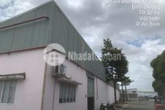 Cho thuê kho 400m² dĩ an, bình dương