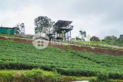 Bán đất bảo lộc full thổ cư vị trí trung tâm, giá chỉ 1,29 tỷ, hạ tầng hoàn thiện