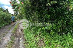 Đất nông nghiệp 10826,8 m2 long khánh. đồng nai