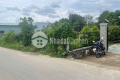 Giảm 100 triệu bán nhanh đất 5mx16m shr tỉnh lộ 826 cần đước giá 1,6 tỷtl