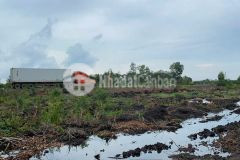 Bán 46.000m2 đất rừng sản xuất quy hoạch lên skc xã mỹ thạnh đông, đức huệ giá 17 tỷ