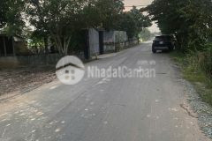 Bán đất lúa mặt tiền đường nhựa, thị trấn hậu nghĩa, đức hòa dt 2500m2 giá 5,5 tỷ