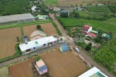 Bán lô đất phường 2, gần ngã 5 dambri lối ra cao tốc 980 triệu