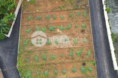 Sống xanh bên sông đà an cư sinh lời