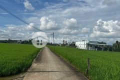 Bán lô thổ 5x17,28 mt đan 3m ra tl833b kế bên gần cụm kcn an nhựt tân tại xã nhựt tảo tỉnh tây ninh