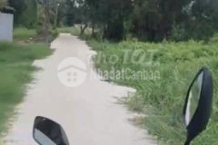 Bán lô đất trồng cây lâu năm lên được thổ cư nhị bình hóc môn