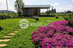 Bán lô đất view chuẩn làng chùa đại ninh, đức trọng, lâm đồng