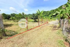 Bán đất diên tân giá rẻ ngay trung tâm xã sau lưng chợ đi vào