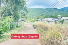 Đất hẻm nhựa thông quốc lộ 20 và cao tốc, hiệp an cũ, đức trọng, lâm đồng