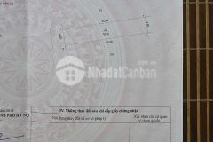 Bán120m2 đất tđc bắc phú cát tt khu cnc hòa lạc, gần đường ql21 và đl thăng long, giá hơn 80trm2