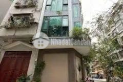 Bán nhà mặt phố pháo đài láng, lô góc, 95m23t, 38 tỷ 0987104878