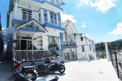 Vừa ở vừa kinh doanh căn nhà tâm huyết đường hoàng diệu