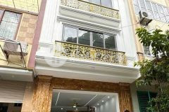 Siêu phẩm phố tô vĩnh diện 50m2, 7t thang máy, mặt tiền 5m gara ô tô kinh doanh 22 tỷ