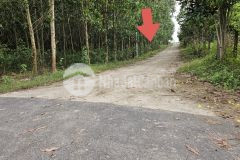 Bán đất vườn diên đồng giá rẻ mặt đường bê tông oto tới nơi