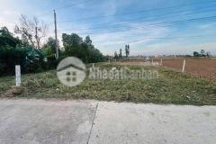 Ngợp bank bán gấp lô đất 9x27 gần kcn phúc long, bến lức giảm sâu còn 15trm2 shr