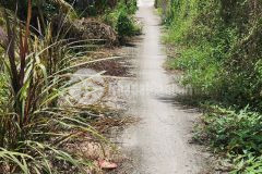 Bán nền thổ cư đường đá xanh 2m xã tân trụ, bến lức dt 105,5m2 giá 380 triệu