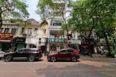 Bán nhà mp tuệ tĩnh 200m ra cv thống nhất, 100m23t, mt 5m, 95 tỷ