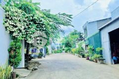 Nhánh phù đổng thiên vương, đối diện sân bay quốc tế lương khương, đức trọng, lâm đồng