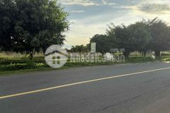 Bán đất lớn mai anh đào 105 tỷ hơn 1000m2 nè khách yêu