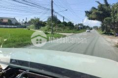 Bán lô đất thổ cư đường đá xanh xe oto xã hiệp hòa, huyện đức hòa dt 200m2 giá 650tr