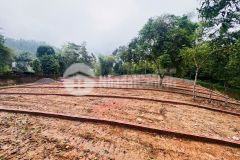 Diện tích từ 115m 150m tại phường kỳ sơn, hoà bình