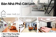 Bán nhà phố cát linh, 7 tầng, thang máy xịn, ngõ ô tô, giá 13.7 tỷ, lh 0396935190.