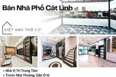 Bán nhà phố cát linh, 41m2, ngõ nông ô tô, full nội thất, giá 13.68 tỷ, lh 0396935190.