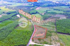 Bán đất vườn diên đồng mặt tiền đường nhựa liên xã ngang bám đường gần 100m