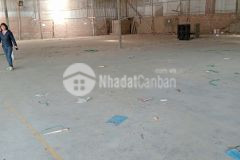 Cho thuê kho, xưởng sản xuất tại ga cổ loa. đông anh.