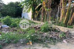 Bán đất vĩnh phương giá rẻ thôn đắc lộc hẻm đường đất phú đường thông