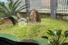 Bán nhà vườn diên đồng ngay trung tâm khu dân cư thôn 2 gần trường học uỷ ban