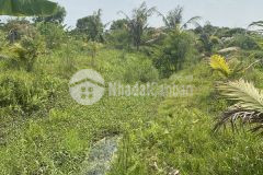 Đầu tư cực hot bán đất gần tuyến tránh long xuyên châu thành, an giang