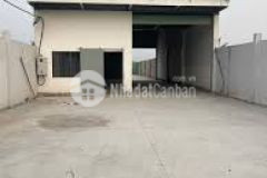 Cho thuê nhà kho 400m2 mặt tiền đường lớn cẩm lệ sẵn điện 3 pha giá chỉ 22 triệu