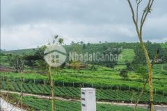 102m² full thổ cư tiện ích nội khu hoàn thiện thanh khoản cao