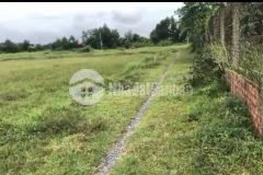 Bán đất thổ cư thị trấn hậu nghĩa, đức hòa dt 280m2 giá 1,5 tỷ