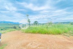 Tổng 1,4 héc ta, đất đẹp, view chill chill, nằm ngay ngã 3 hẻm thuộc hiệp thuận, ninh gia