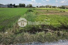 Bán đất thổ cư xã đức lập hạ dt 180m2 giá 800 triệu