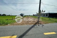 Bán đất thổ cư mt đường nhựa xã bình trinh đông, tân trụ dt 250m2 giá 1,5 tỷ