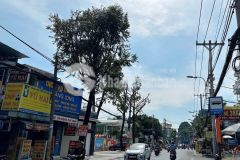 Bán nhà gò vấp hẻm xe hơi thống nhất, gần lottemart nguyễn văn lượng, 44m², 4 tầng, 6.15 tỷ tl