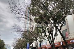 Pl giảng võ niềm khao khát sở hữu của người hà nội 502 7t thang máy. lh khánh 0972858666